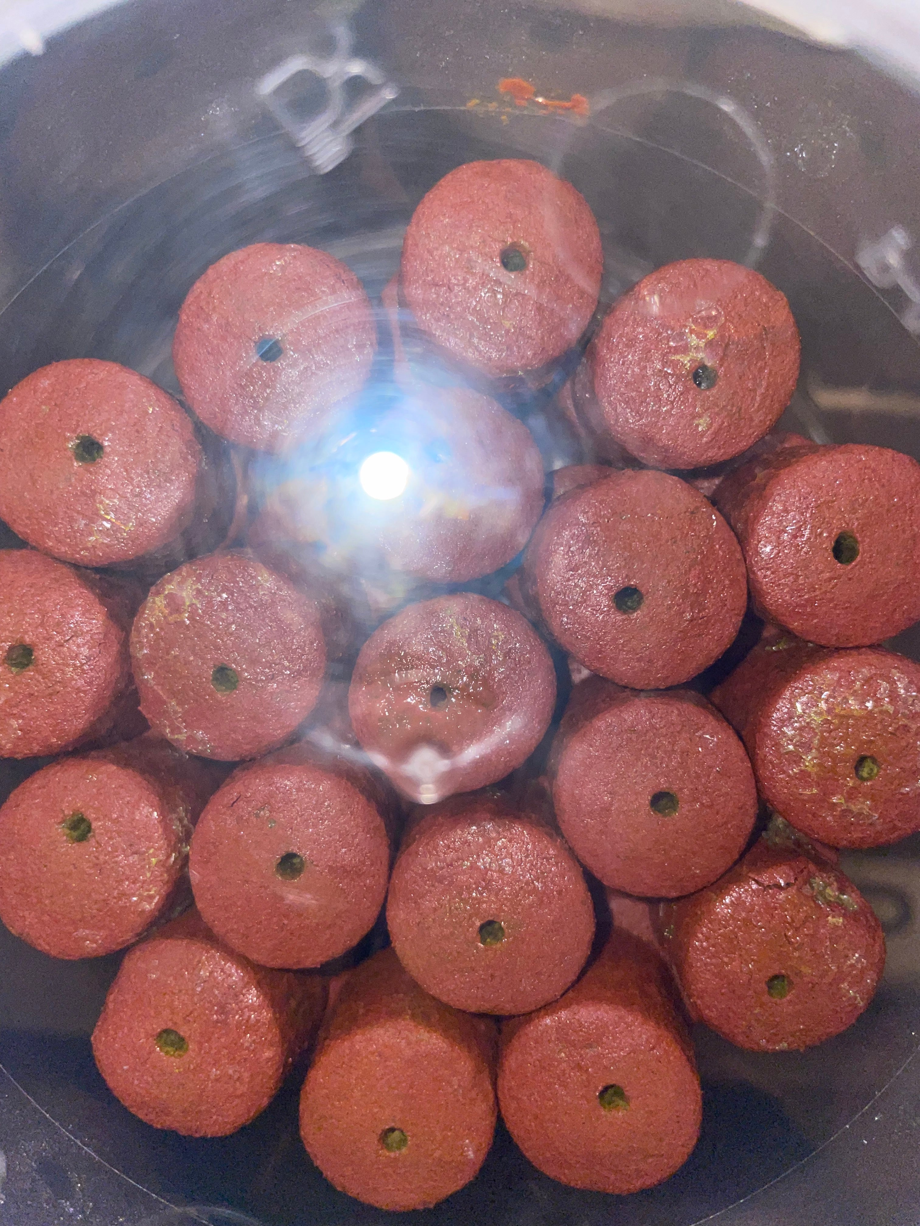 HookPellet F-Core 20 mm Spécial Esche