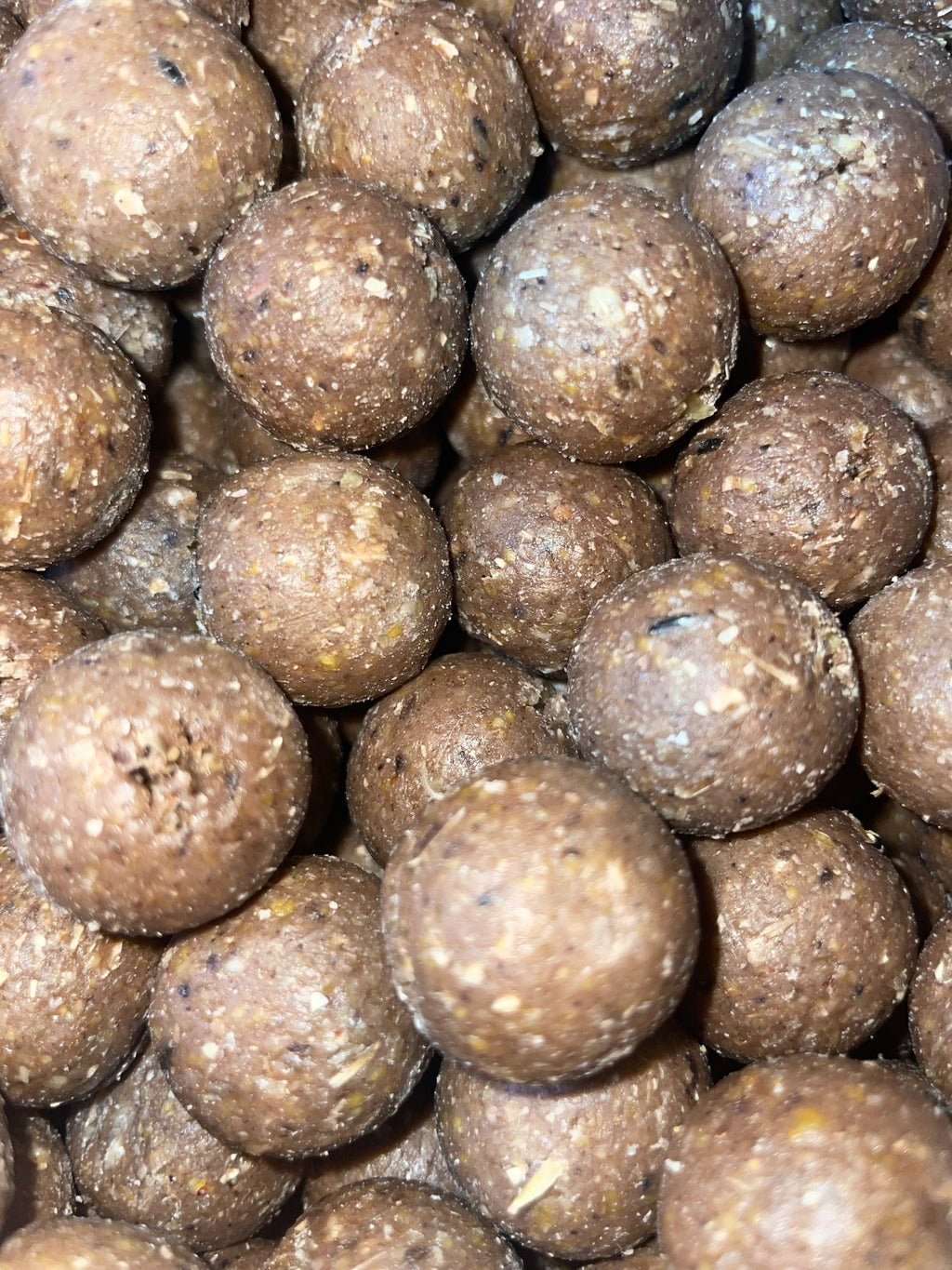 NM.Baits