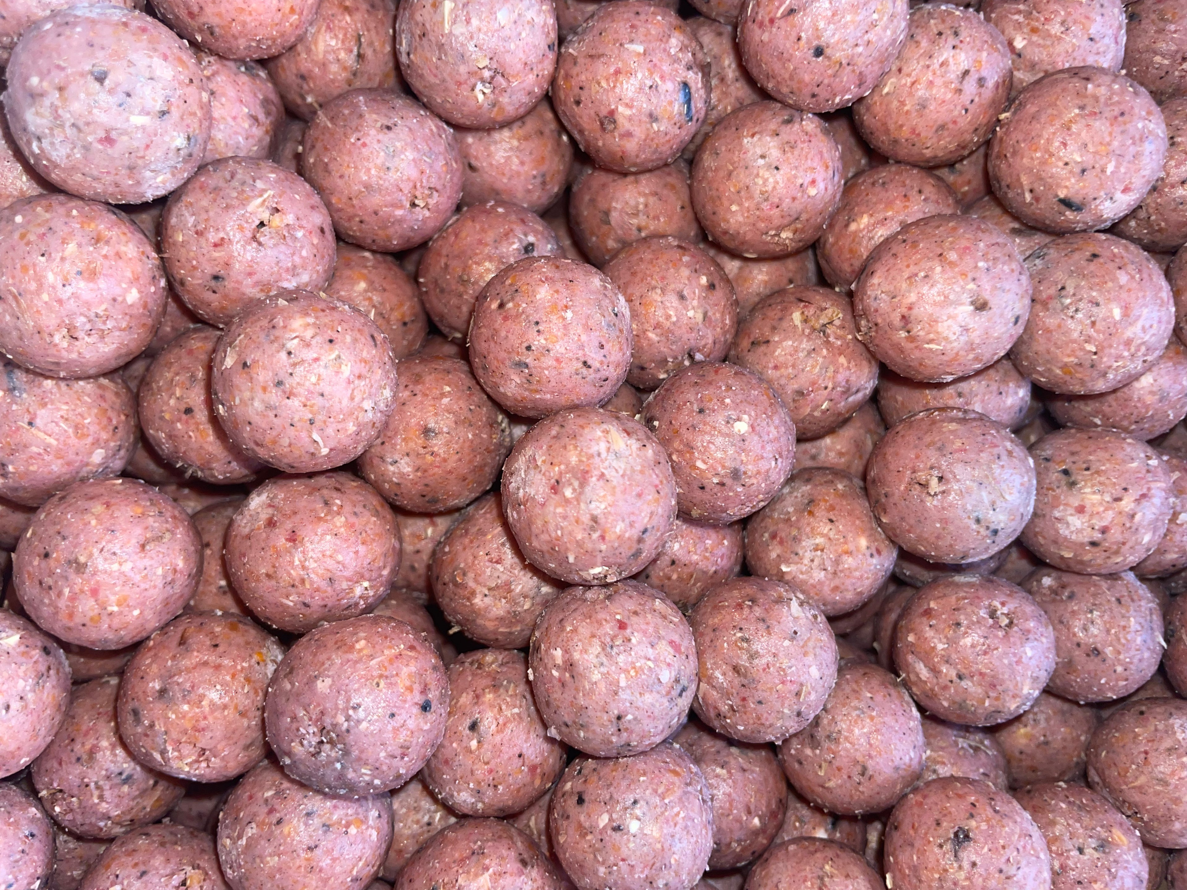 NM.Baits