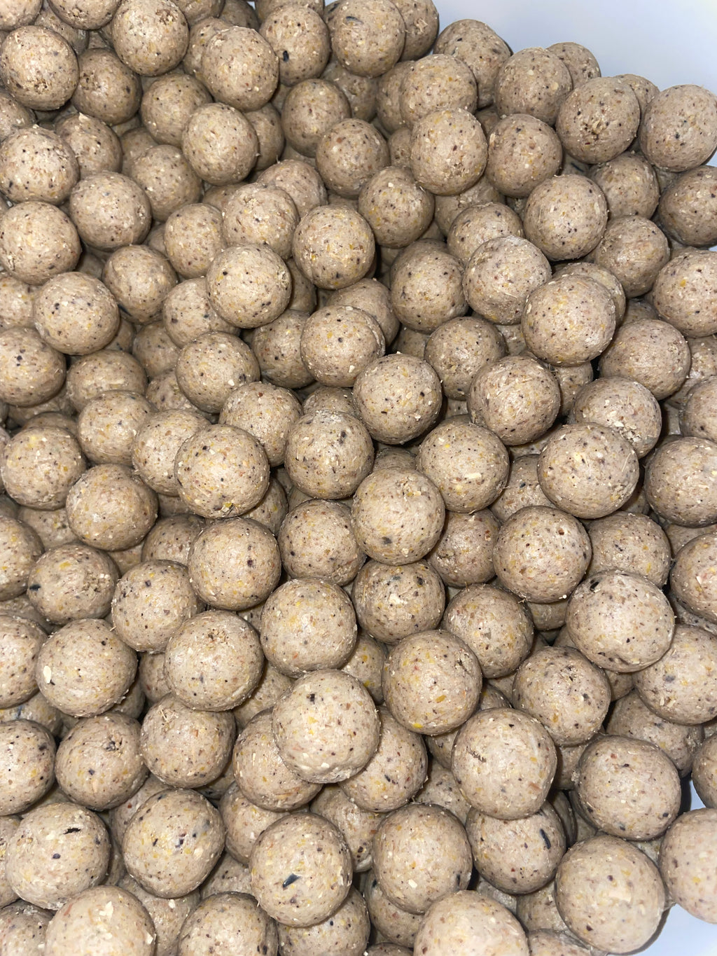 NM.Baits