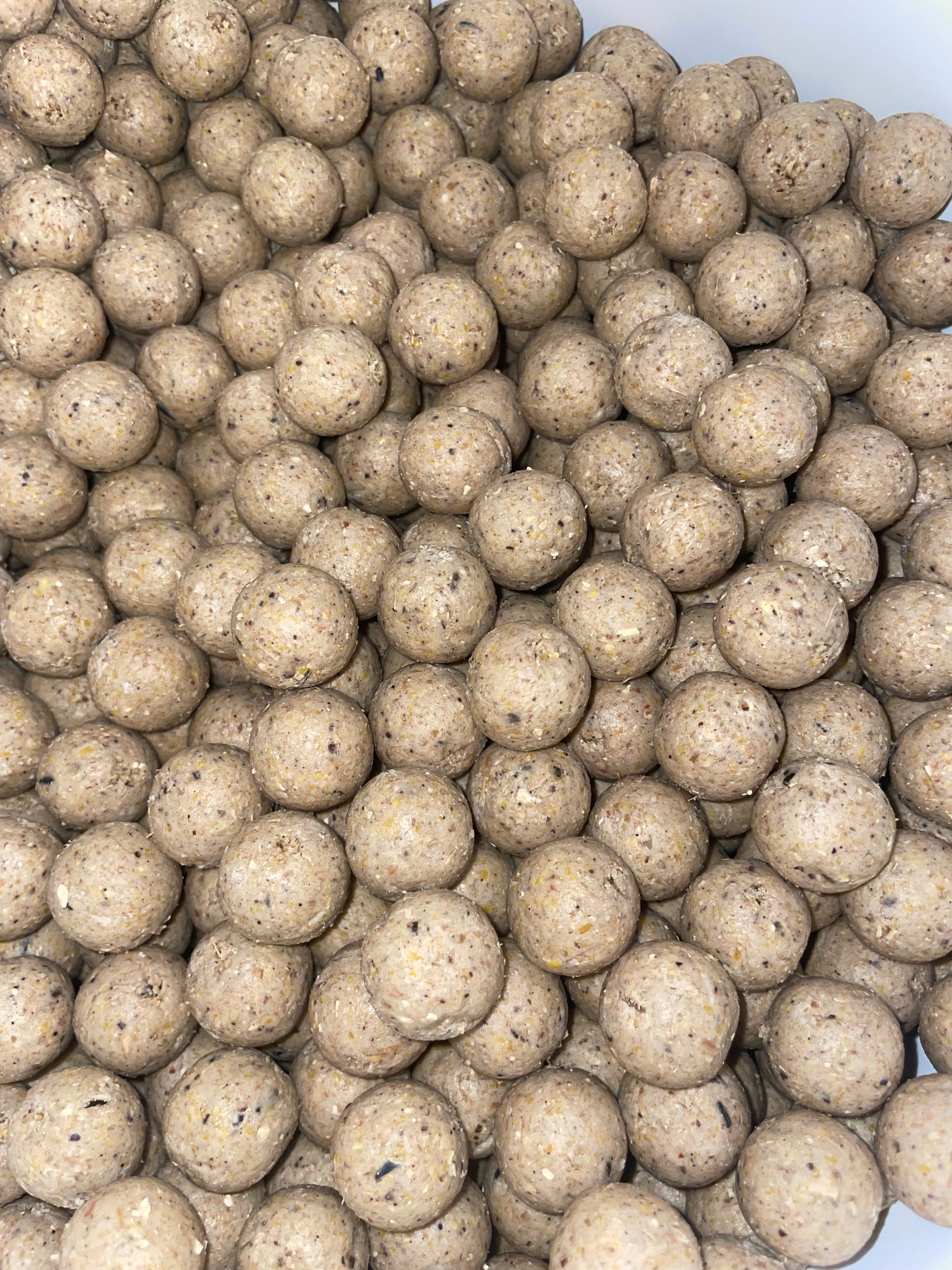 NM.Baits