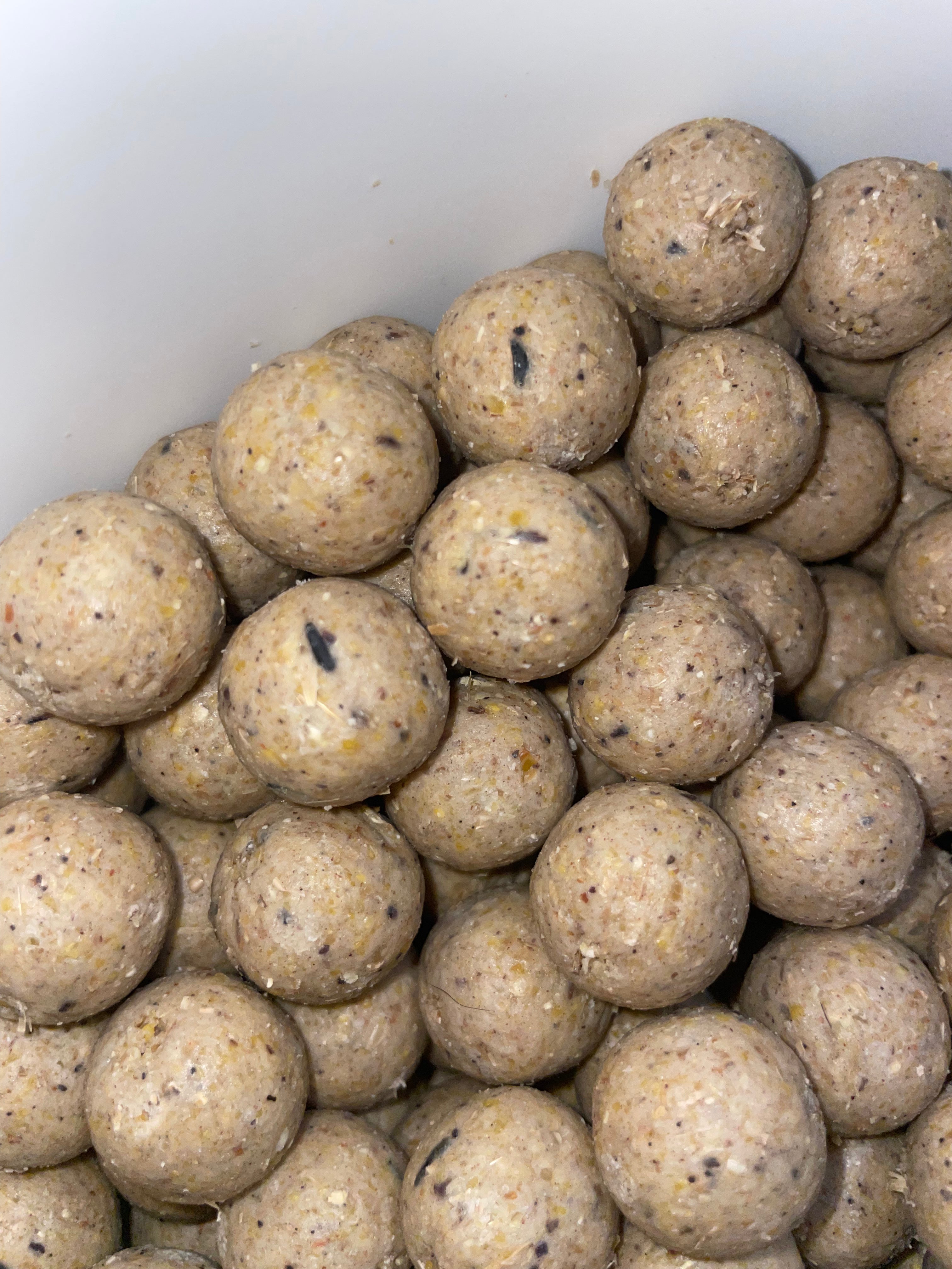 NM.Baits