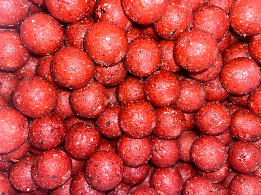 NM.Baits
