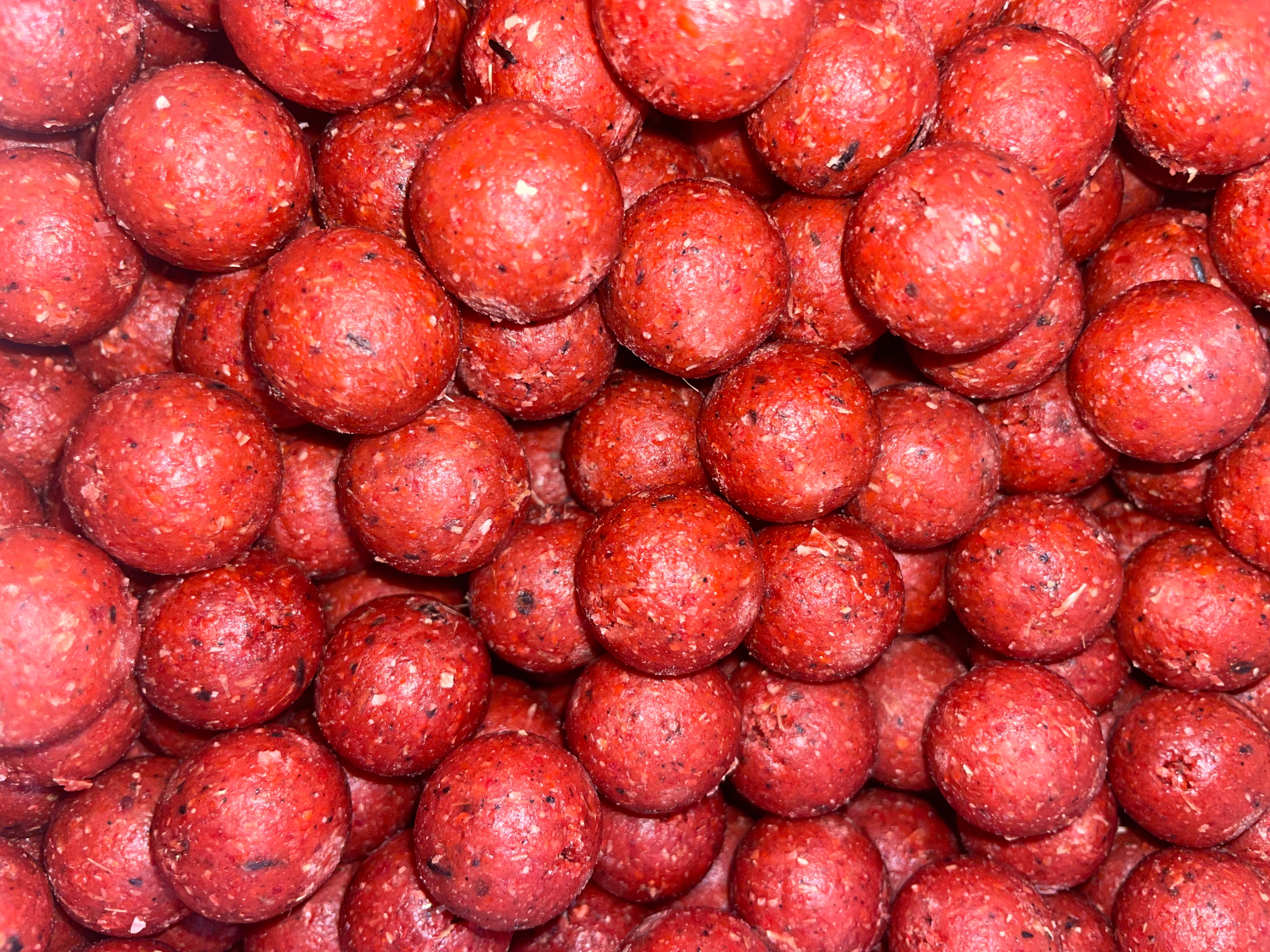 NM.Baits