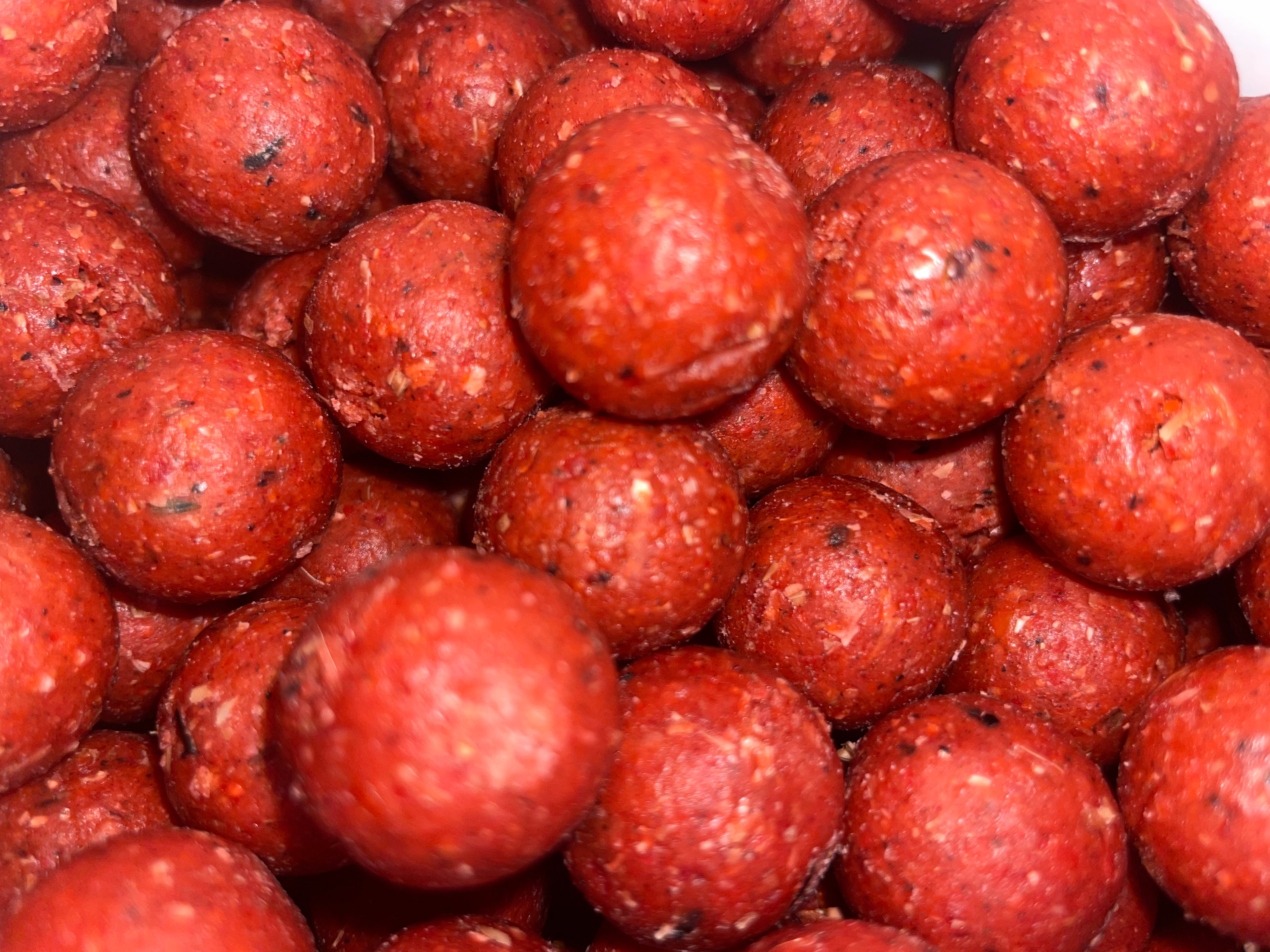 NM.Baits
